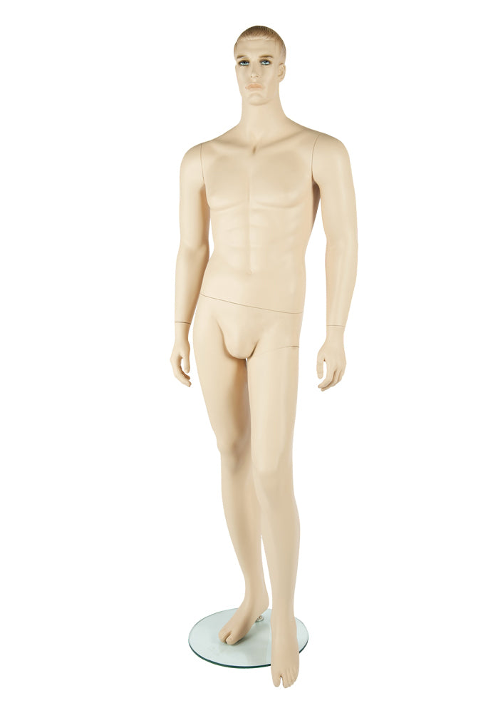 Adult Male Mannequin