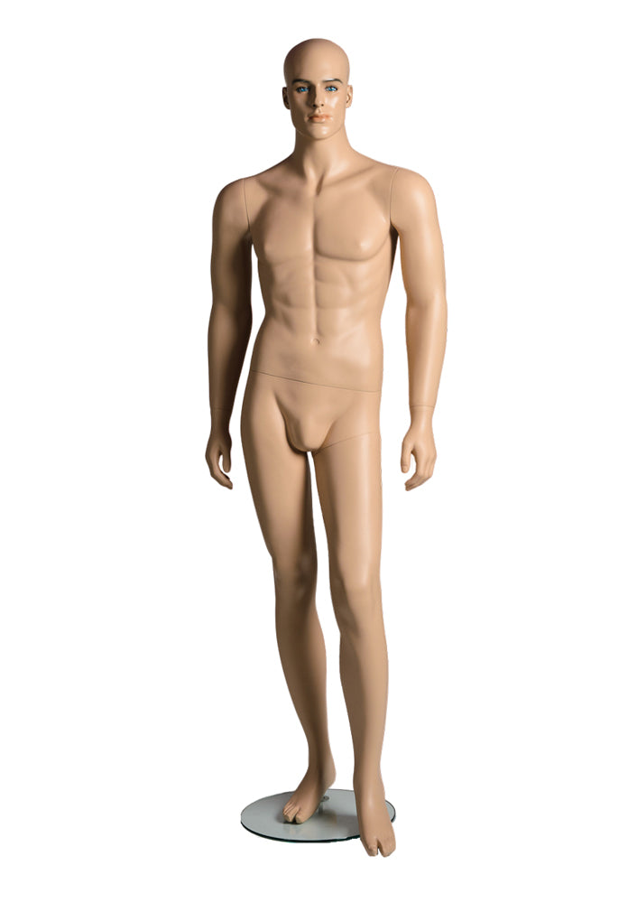 Adult Male Mannequin