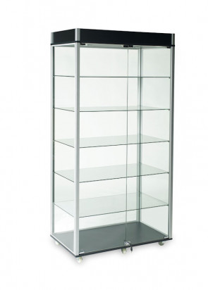 Glass Wallcase